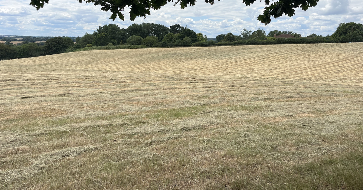 Farmers amongst buyers as East of England sees rise in farmland for sale