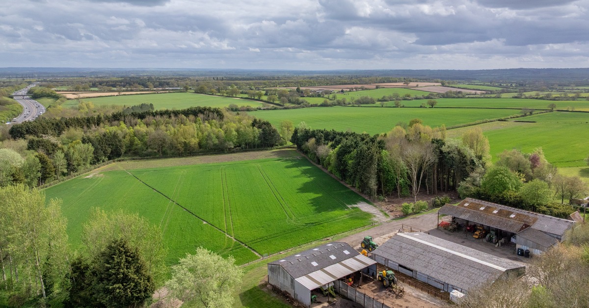 Savills open Furze Farm to the market