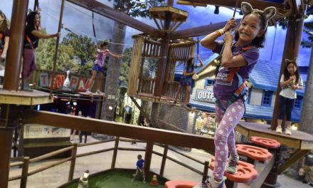 Deal signed to help bring Great Wolf Resort to Basingstoke