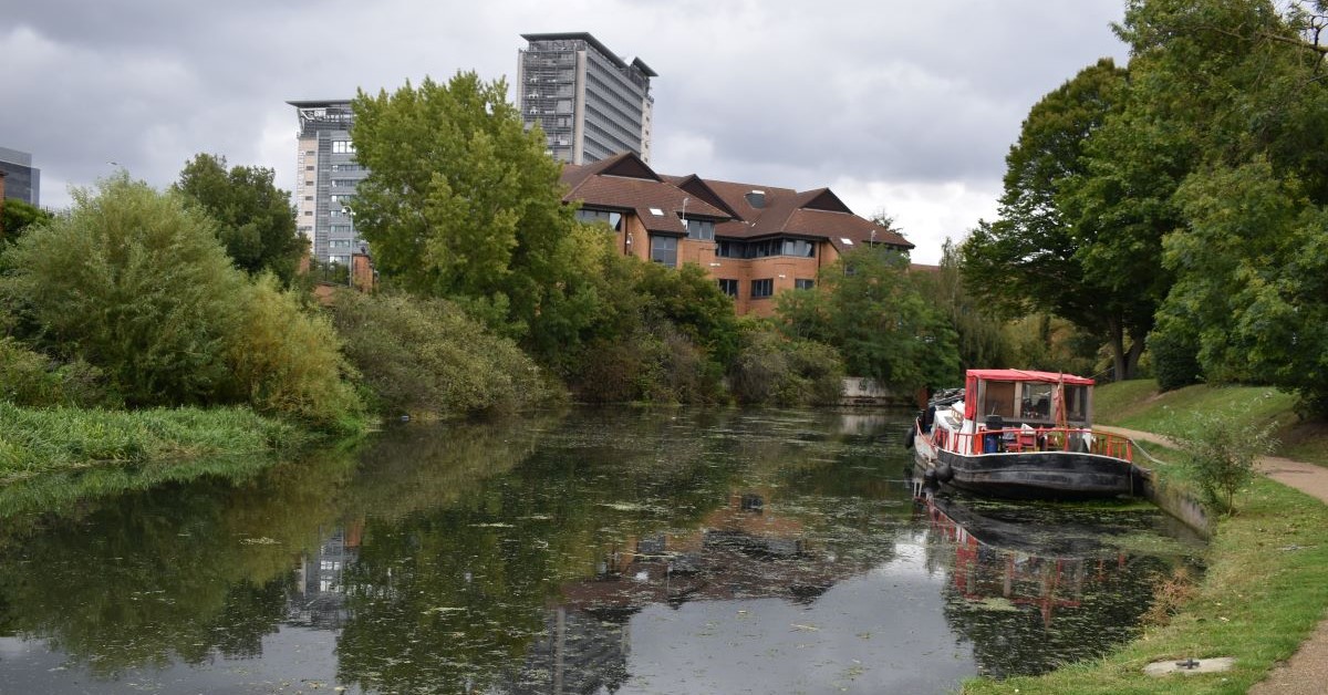 Hounslow establishes Nature Recovery Stakeholder Board
