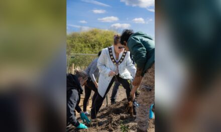 SEGRO and Earthwatch set up new Slough green-space