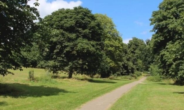 Waverley unveils new park proposals for Farnham