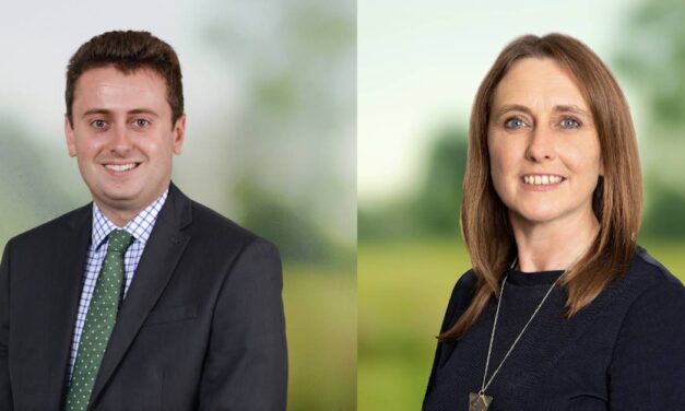 Pipes, pylons and people – five steps to better engagement for infrastructure projects