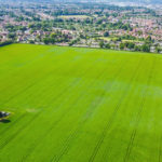 East of England development land market remains ‘steady’ despite wider pressures