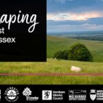 West Sussex reorganisation delayed until October