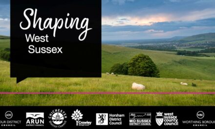 West Sussex reorganisation delayed until October