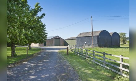 Savills launch Cambridgeshire Lodge Farm to market