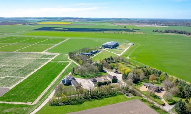 Commercial farm with historic airfield for sale near Cambridge