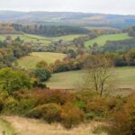 Surrey improves it’s 10,000 acre countryside estate