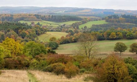Surrey improves its 10,000 acre countryside estate