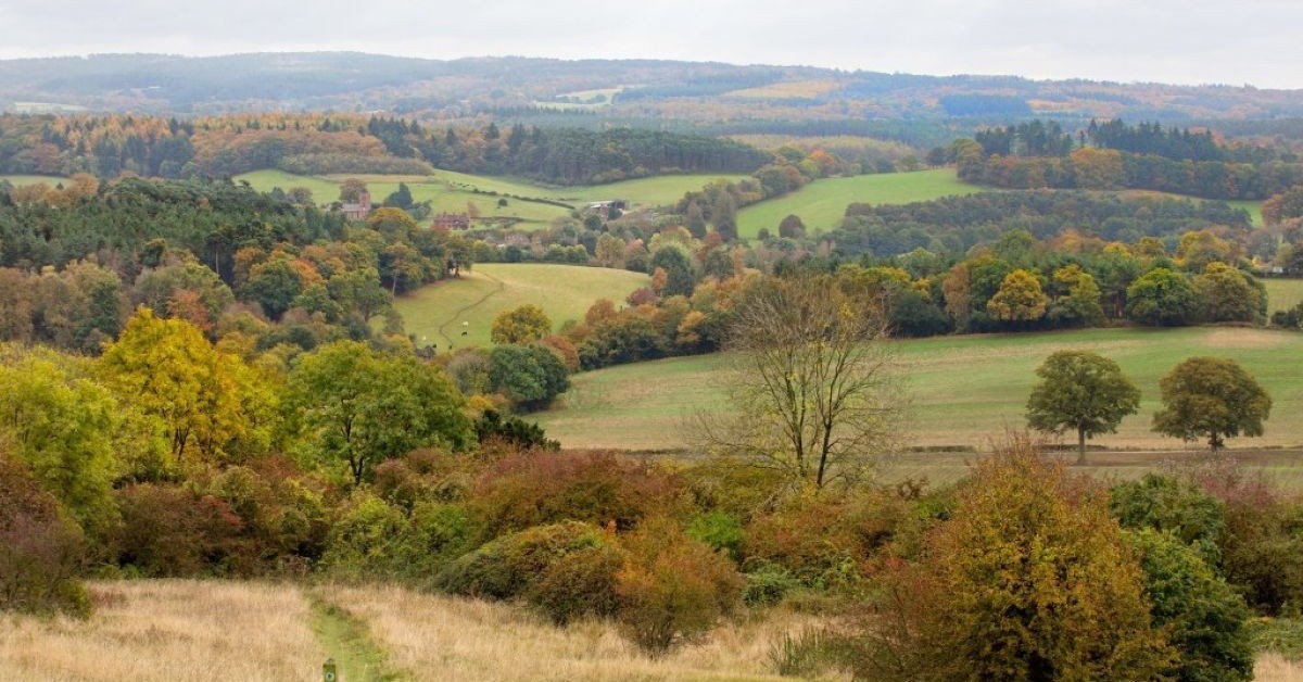Surrey improves it’s 10,000 acre countryside estate