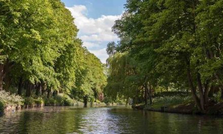 Nutrient mitigation measures ‘have helped enable 1,000 homes’