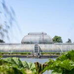 Palm House appeal launched by Kew