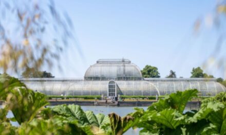 Palm House appeal launched by Kew