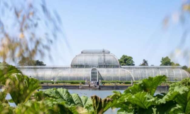Palm House appeal launched by Kew