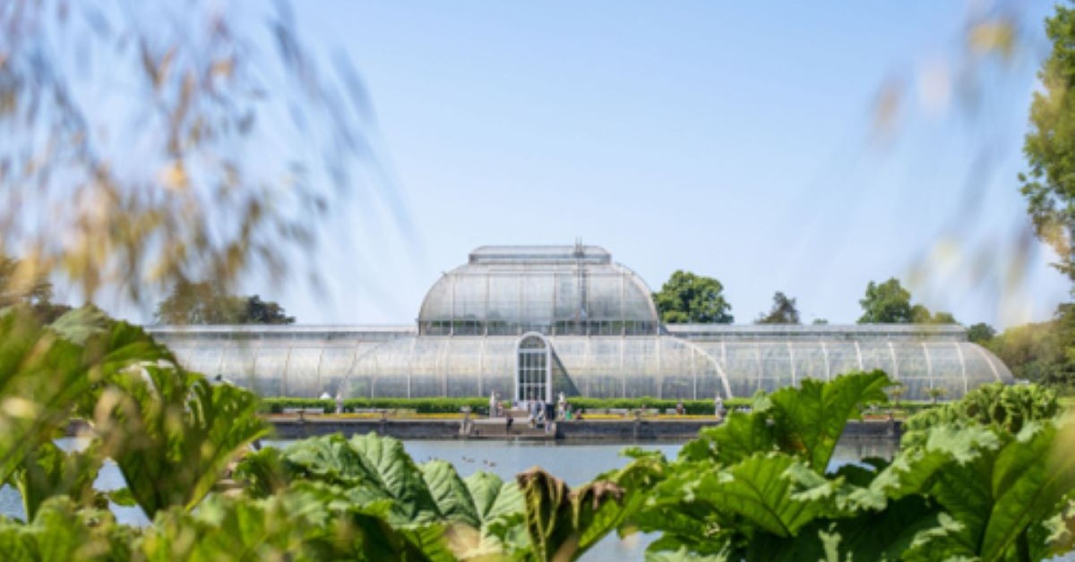 Palm House appeal launched by Kew