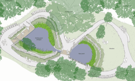 H&F Green Fund restores Ravenscourt Pond