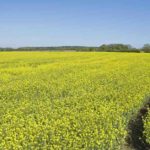 Report shows increase in farmland going on the market