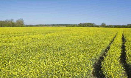 Report shows increase in farmland going on the market