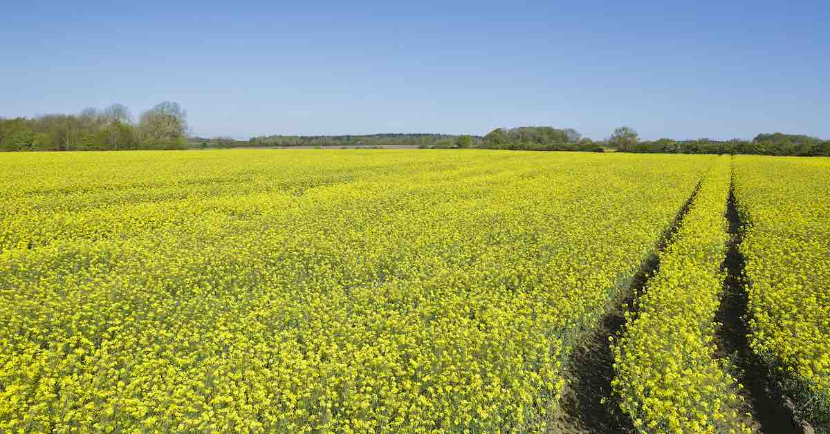 Report shows increase in farmland going on the market