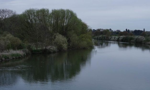 Council calls for River Thames defences