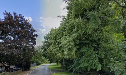 Permission granted for 330 new homes in Bedfordshire