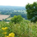 Guildford Council reassures Surrey’s Green Belt not at risk