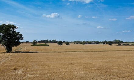 Eastern England supply of publicly marketed farmland decreases by 16 per cent