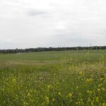 Construction underway on Hengrove Park’s first phase