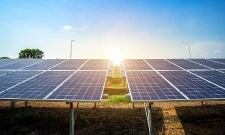 Contractor needed for 30-hectare solar farm
