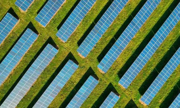 Plans approved for 67-hectare solar farm