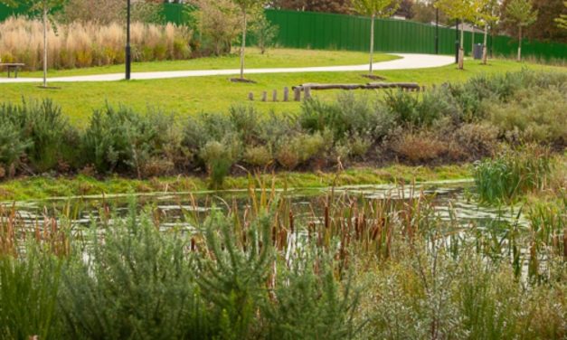 Wandsworth adds largest new park since the Olympics