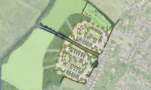 Bargate puts forward outline plans for 62 Stubbington homes