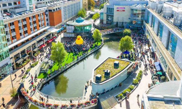 Hammerson buys out Oracle joint venture partner