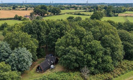 Two-hectare Suffolk plot with timber cabin on the market