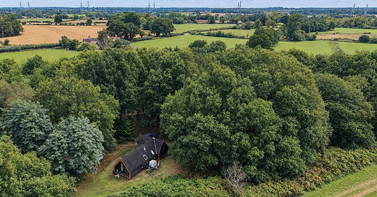 Two-hectare Suffolk plot with timber cabin on the market