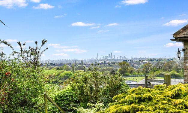 Savills open £3 million Essex farm to the market