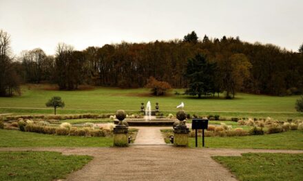 Reigate and Banstead utilizes nearly £19m of CIL