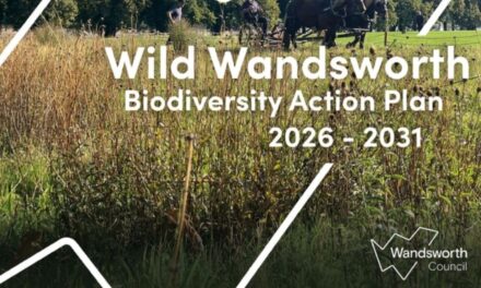 Wandsworth agrees Biodiversity Action Plan