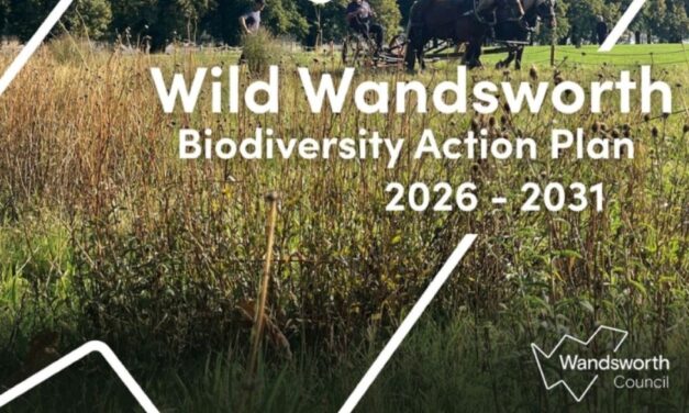 Wandsworth agrees Biodiversity Action Plan