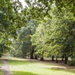 Wandsworth and Richmond maintain A grade CDP award