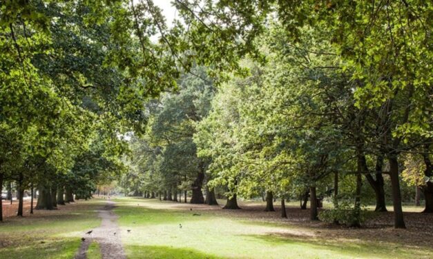 Wandsworth and Richmond maintain A grade CDP award