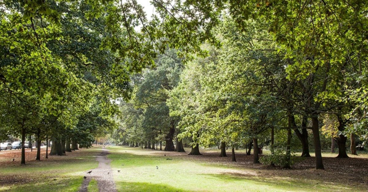 Wandsworth and Richmond maintain A grade CDP award