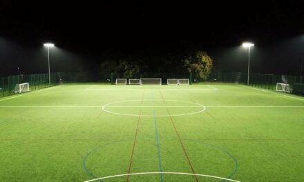 Woking College football spectator stand approved